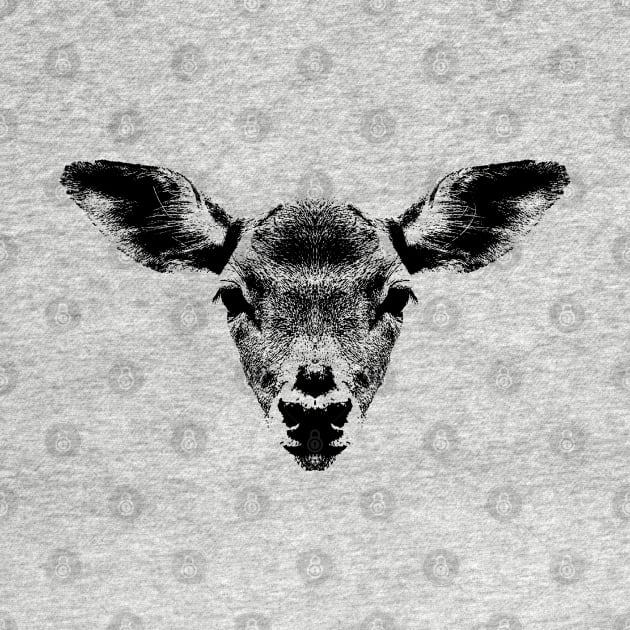 Head of a roe by R LANG GRAPHICS